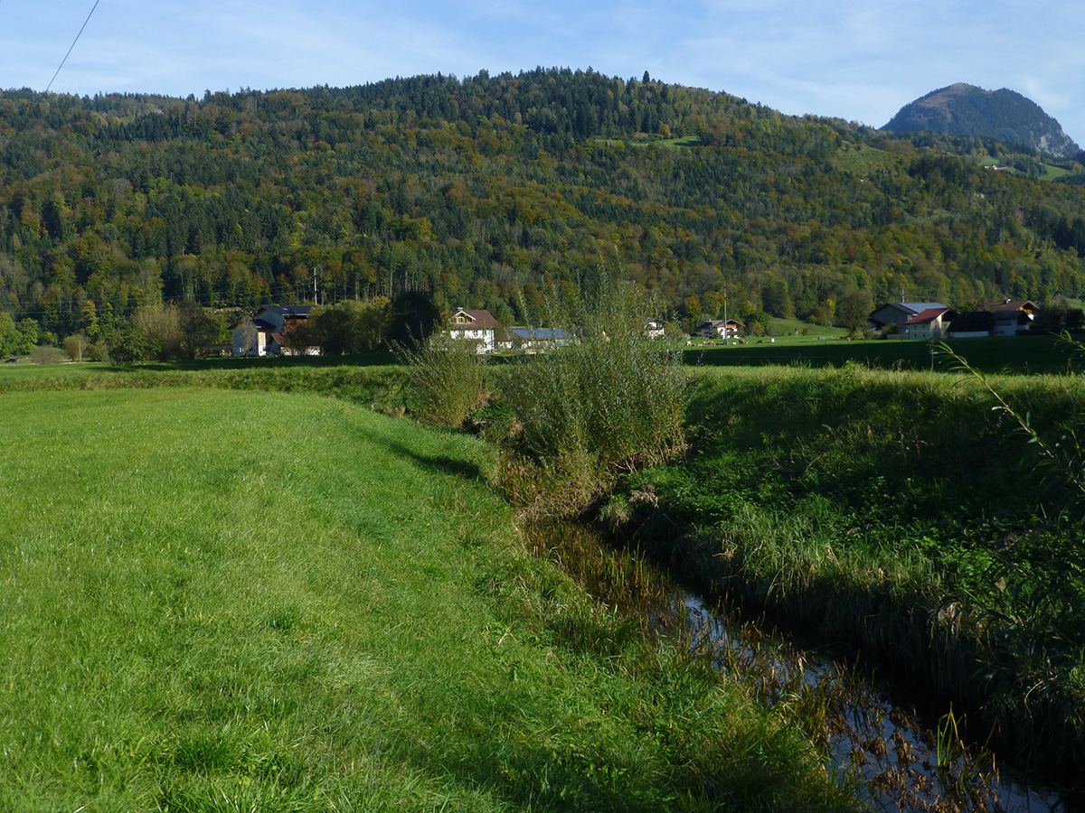 Beratung zu hydrologischen und hydraulischen Fragestellungen am Schöllbach