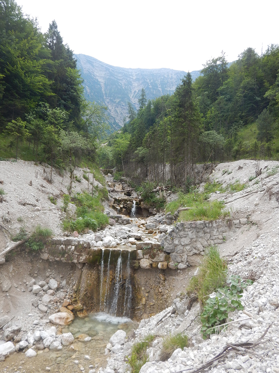 Durchführung der Wildbachbegehungen