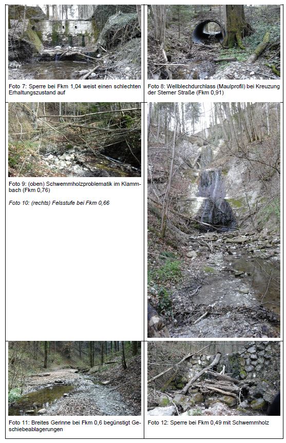 Hydrologische und hydraulische Untersuchungen am Klammbach und Mühleckergraben